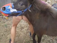 Pony sex with a blonde MILF on a farm